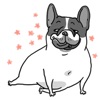 Chubby Frenchie Dog Sticker