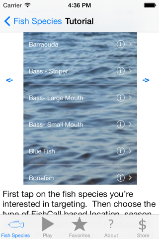 Talk With Fish screenshot 3