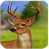 Sniper Deer Extreme 3D