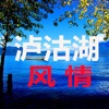 泸沽湖风情旅游网