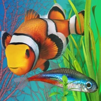 Fish Farm 2 apk