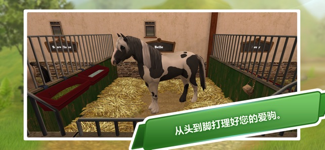 HorseWorld: 高級遊戲包(圖1)-速報App