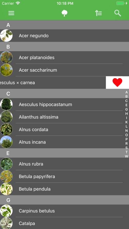 Deciduous trees