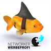 networker-werbeprofi.de
