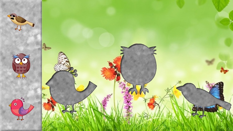 Birds Puzzles for Toddlers