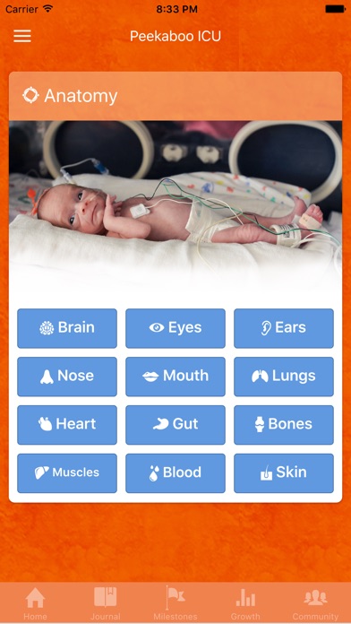 Peekaboo ICU Preemie Baby screenshot 3
