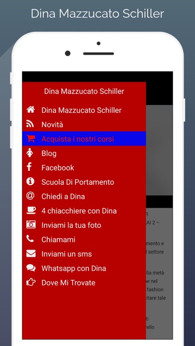 Dina Mazzucato Schiller screenshot 2