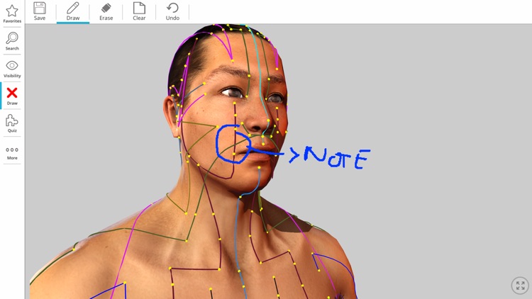 Visual Acupuncture 3D screenshot-5