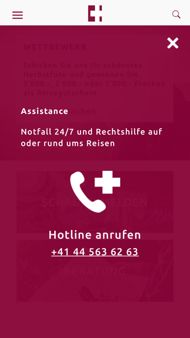 Helvetic Assistance screenshot 4
