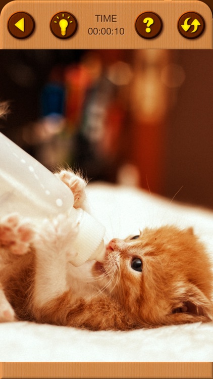 Cat Kitten Jigsaw Puzzle Games screenshot-4