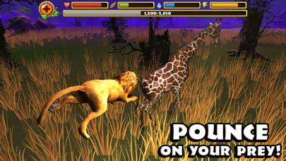 Safari Simulator: Lion Screenshot 4