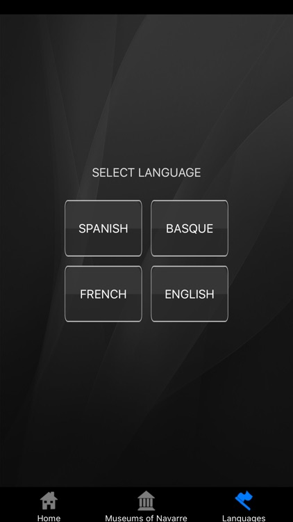 Museums of Navarre screenshot-3