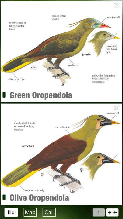 All Birds Ecuador field guide screenshot-3
