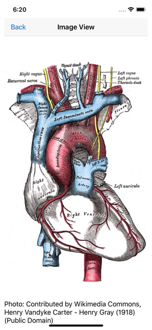 Vascular Board Review(圖3)-速報App