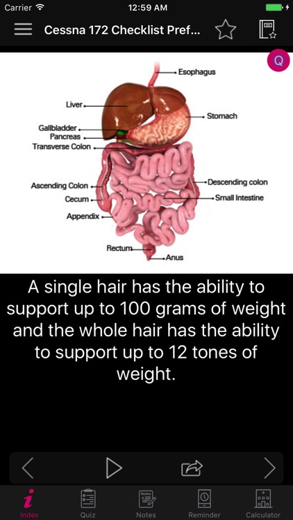 Amazing Human Body Facts, Quiz screenshot-6