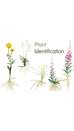 Plant Identification - Snap ID(圖1)-速報App