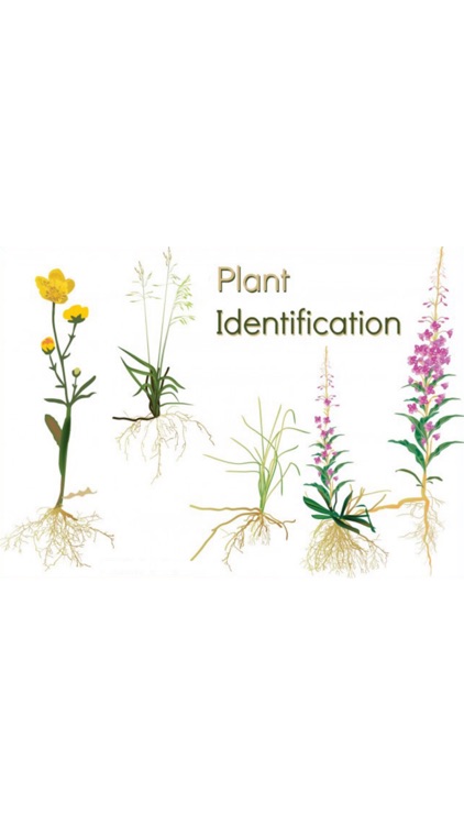Plant Identification - Snap ID