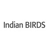 Indian BIRDS Magazine