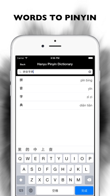 Hanyu Pinyin Dictionary Pro screenshot-0