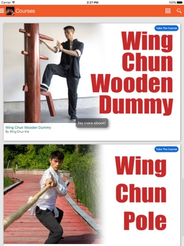 Wing Chun Kung Fu Self Defense screenshot 3