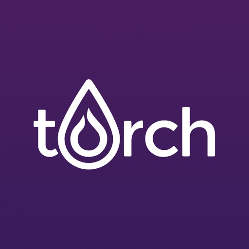 Torch Tips