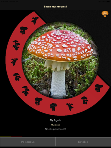 Learn Forest Mushrooms screenshot 2
