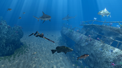 Freediving Hunter Adrenaline Freediving Hunter Adrenaline