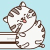Cat Animated Emojis Stickers