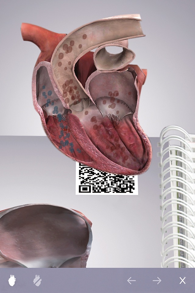 Cardiology 3D Small Animals screenshot 3