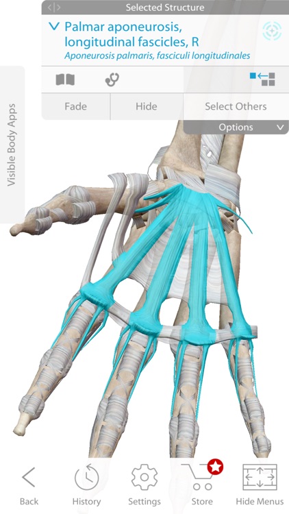 Skeleton Anatomy Atlas: Essential Reference by Visible Body