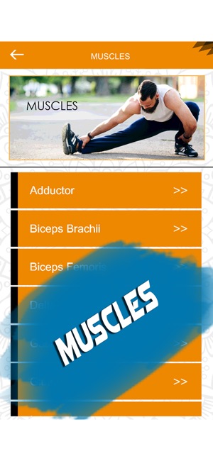 Stretching Routine Exercises(圖4)-速報App
