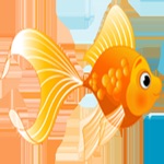 Little Fish with Math Trivia