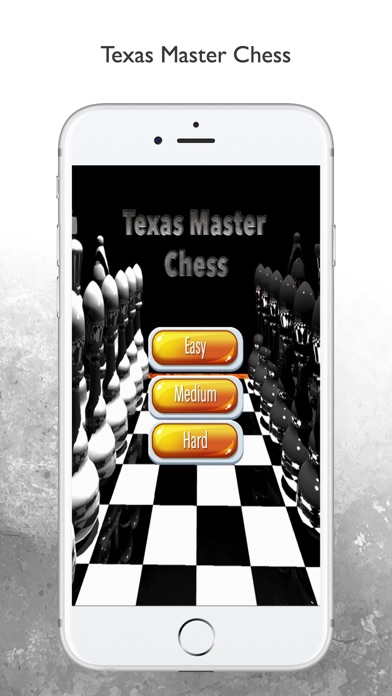 Texas Master Chess screenshot 2