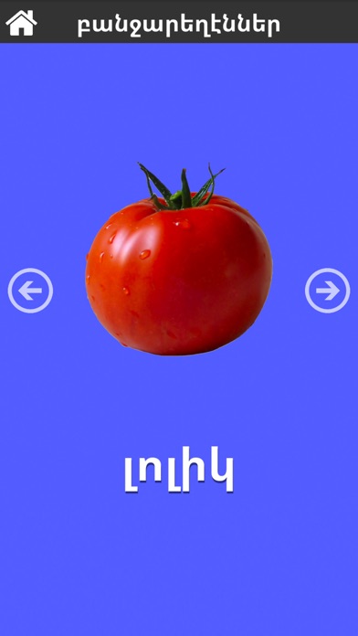 First 50 Words - Armenian Lite screenshot 2
