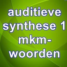 Activities of AudSynthese1