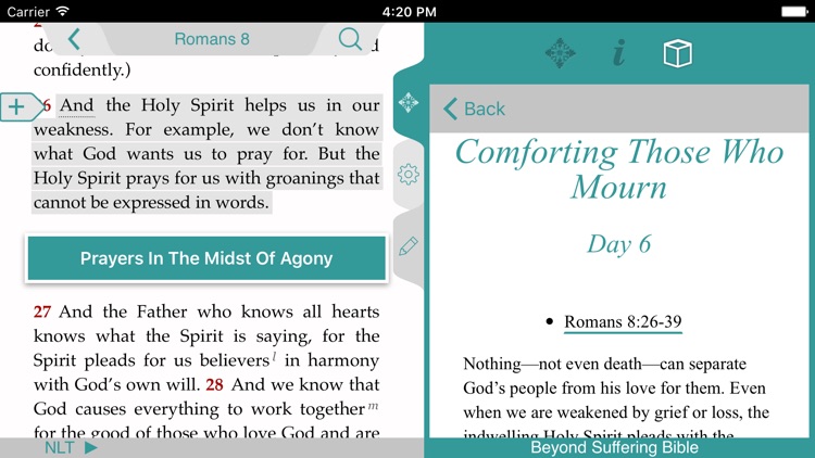 Beyond Suffering Bible screenshot-4