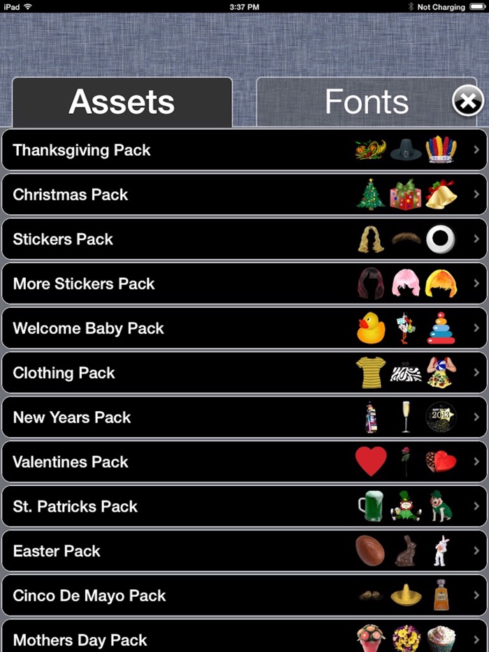 Holiday Picture It Pro