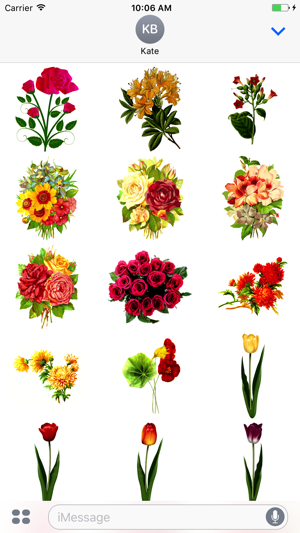 Radiant Flower Stickers(圖2)-速報App