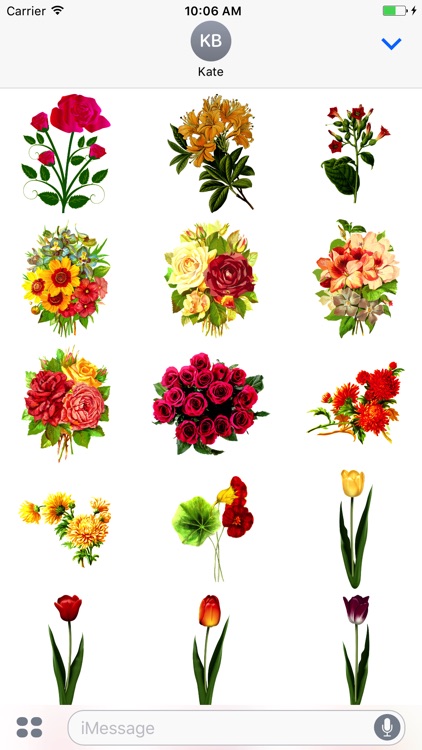 Radiant Flower Stickers