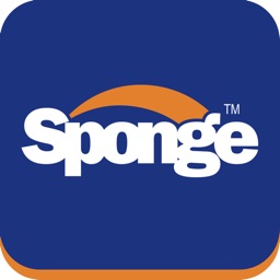 THE SPONGE