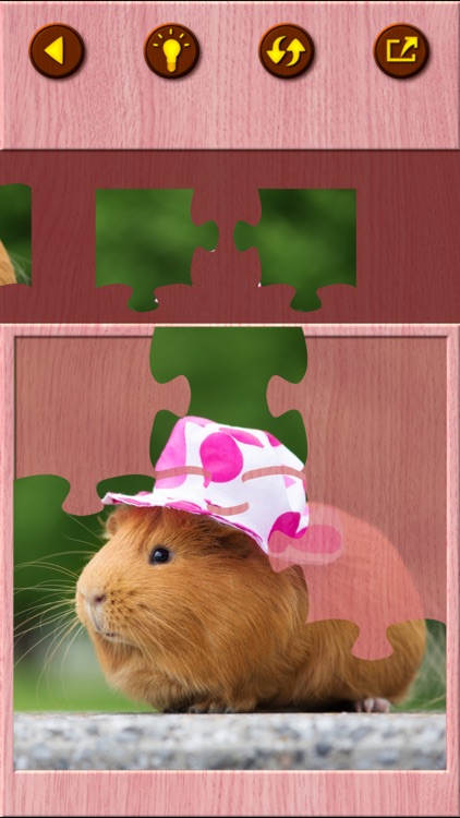 Guinea Pig Kids Jigsaw Puzzle screenshot-4