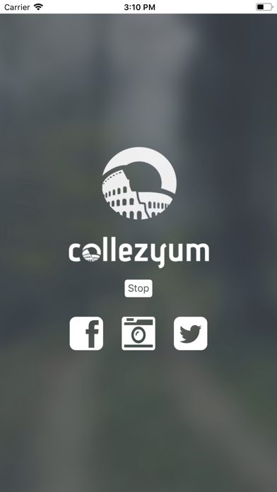 Collezyum screenshot 3