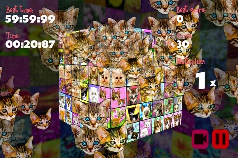 Kittenistry screenshot 2