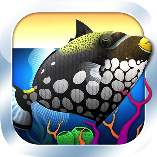 AQUARIUM I.D.