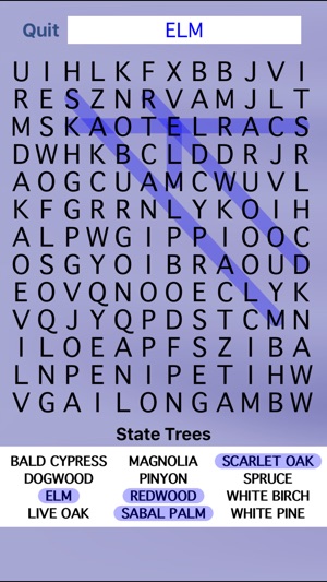 United States Word Search