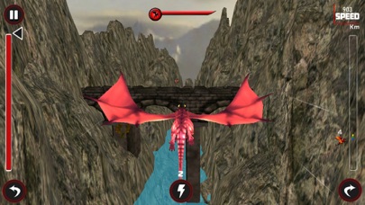 Race Of Flying Dragon screenshot 3