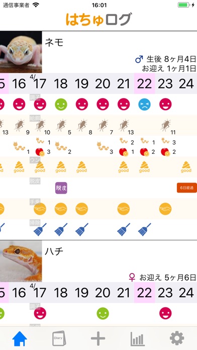 はちゅログのスクリーンショット1 はちゅログのスクリーンショット1