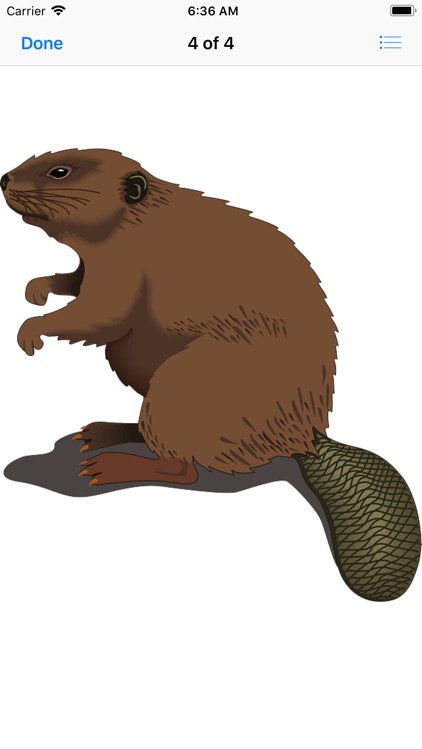 Best Beaver Stickers screenshot-5