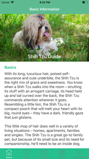 Shih Tzu Guide(圖3)-速報App