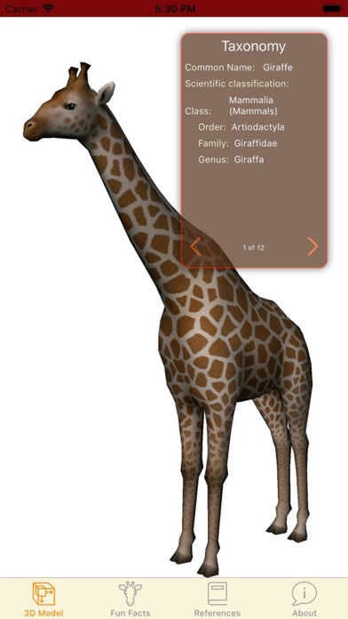 Giraffe And Me screenshot 2